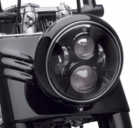 led2451.jpg